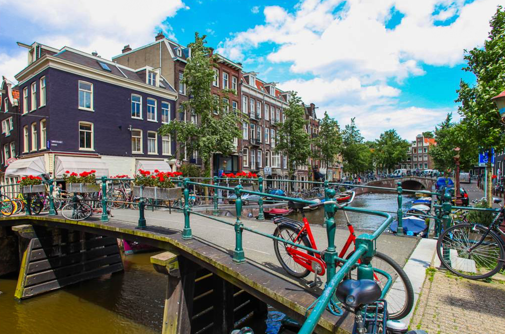 المظهر الخارجي