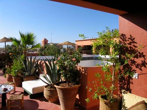 المظهر الخارجي