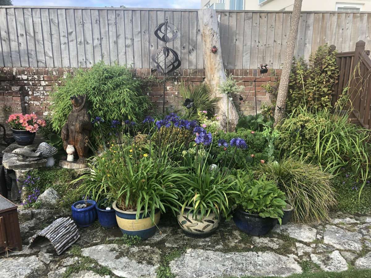 المظهر الخارجي