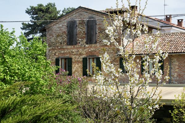 المظهر الخارجي