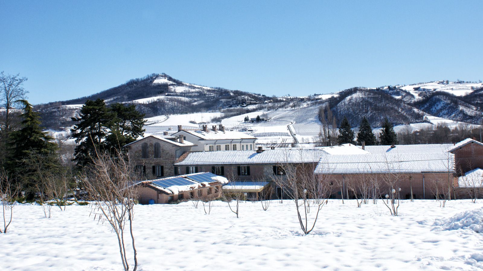 المظهر الخارجي