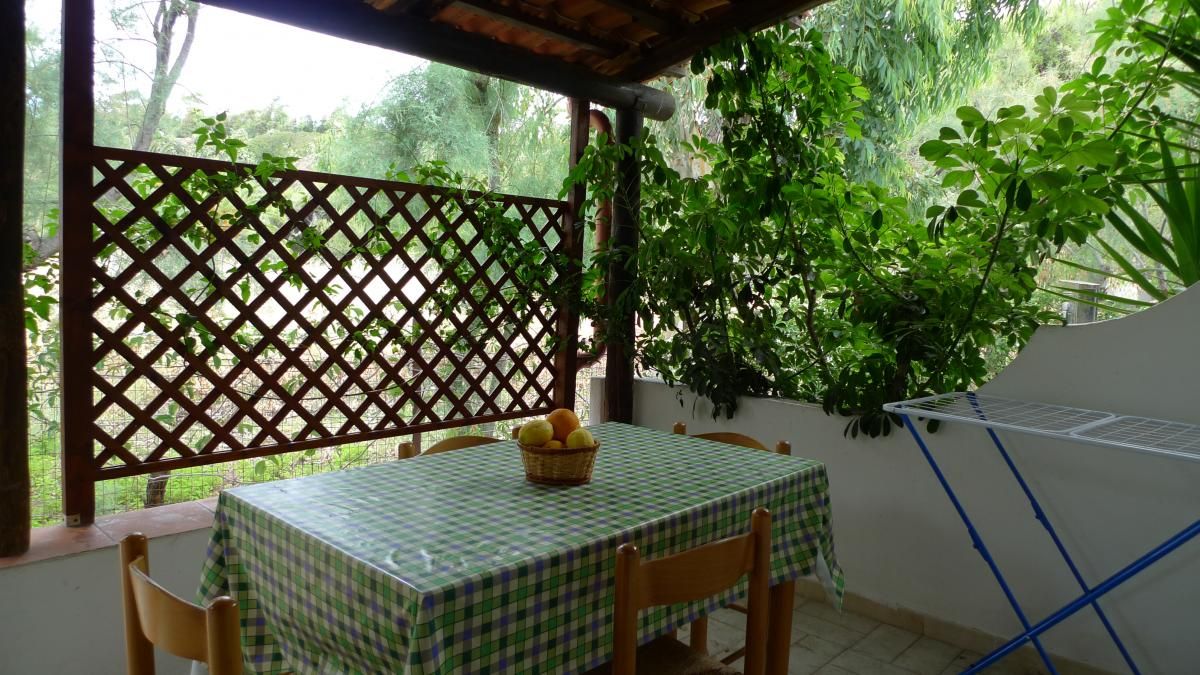 المظهر الخارجي