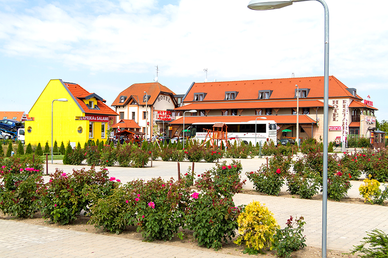 المظهر الخارجي