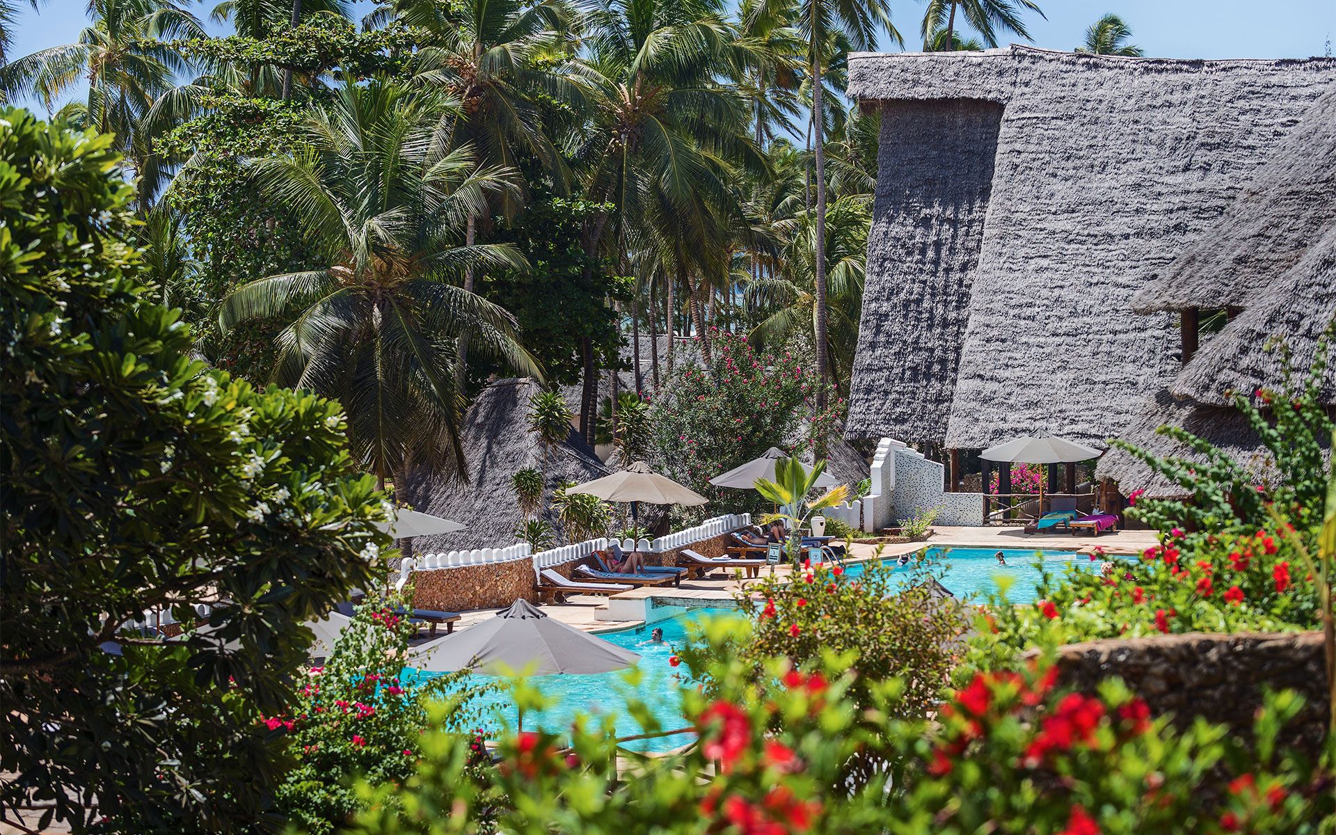 حوض السباحة