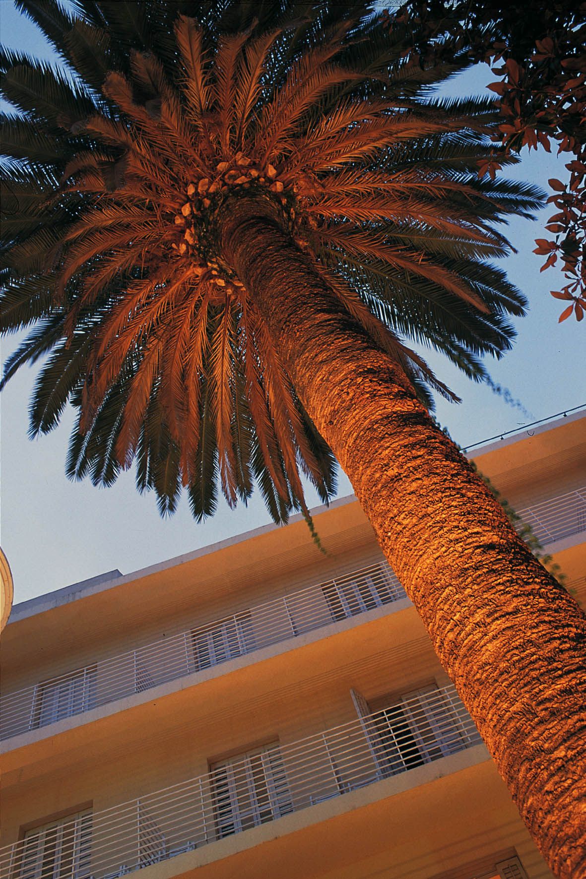 المظهر الخارجي