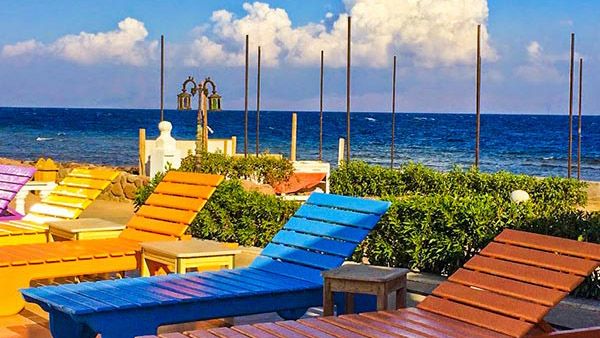 المظهر الخارجي