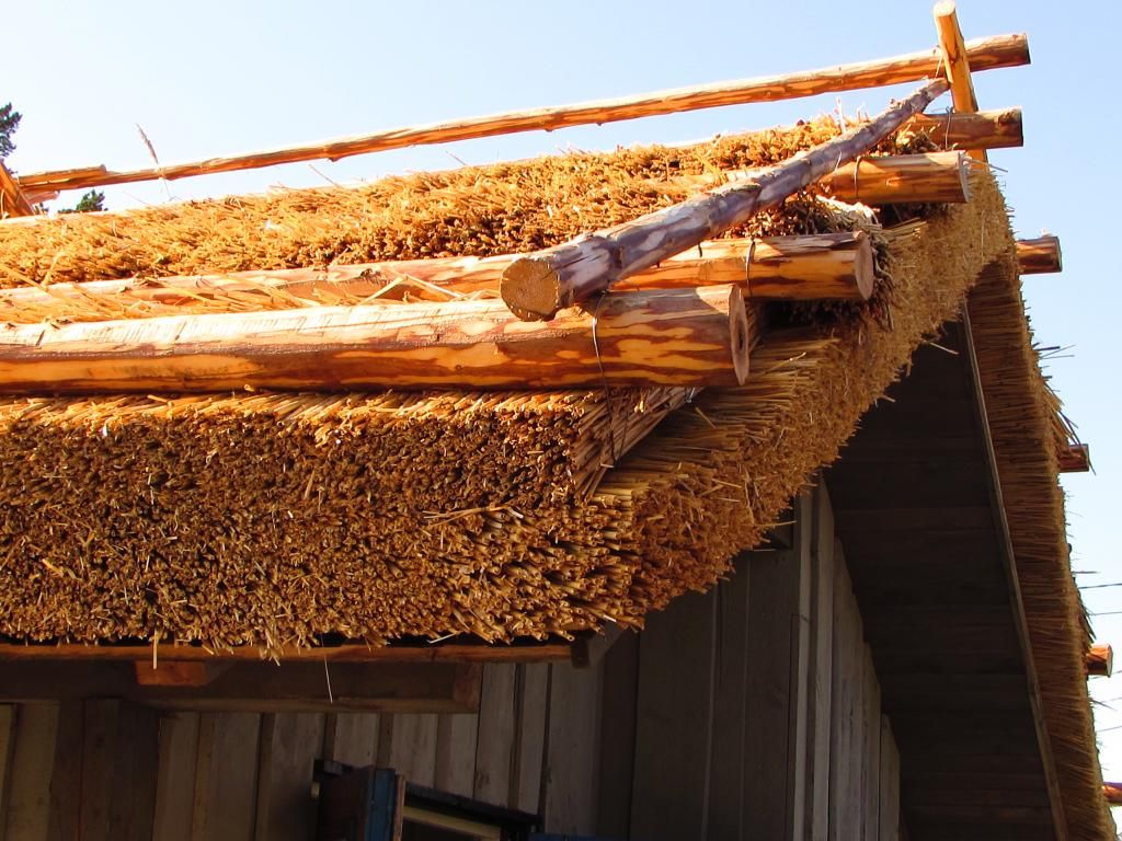 المظهر الخارجي