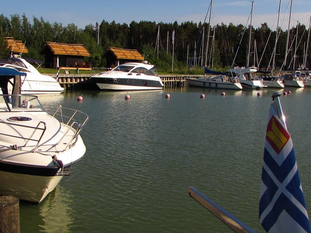 المظهر الخارجي