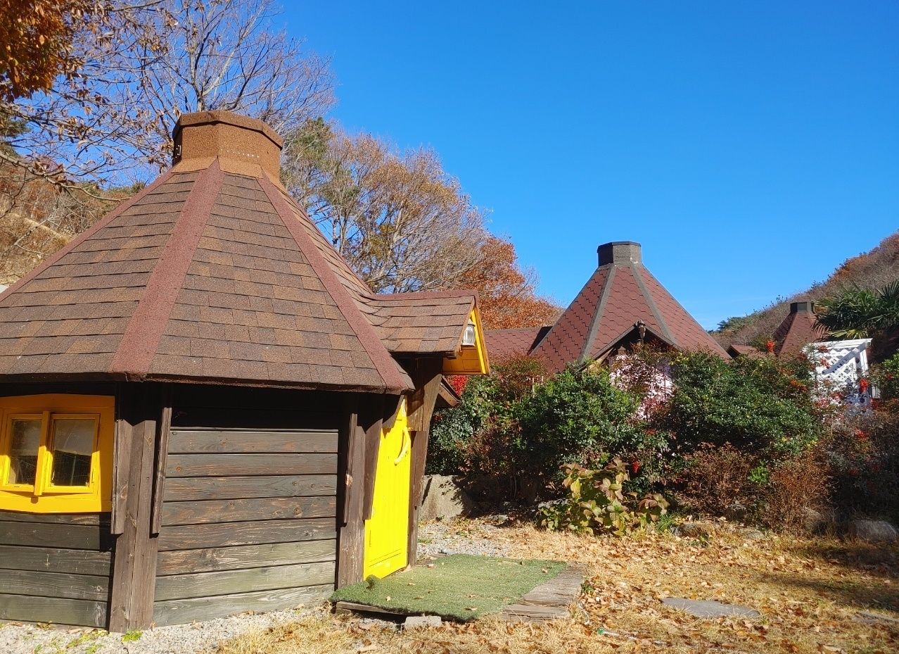 المظهر الخارجي