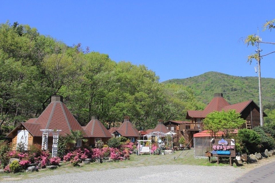 المظهر الخارجي