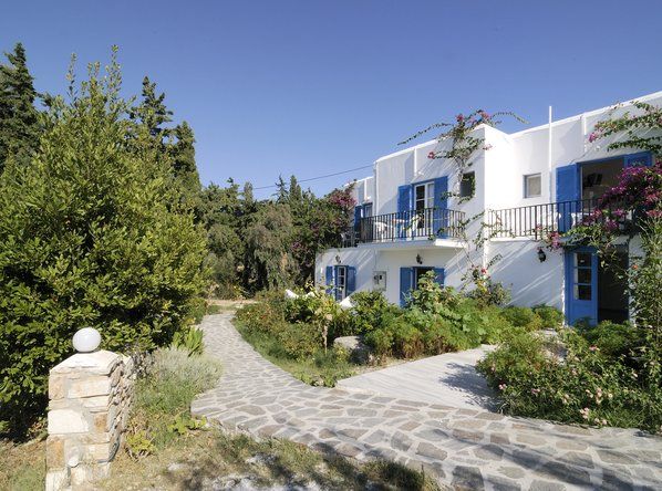 المظهر الخارجي