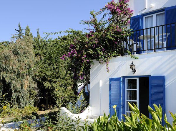 المظهر الخارجي