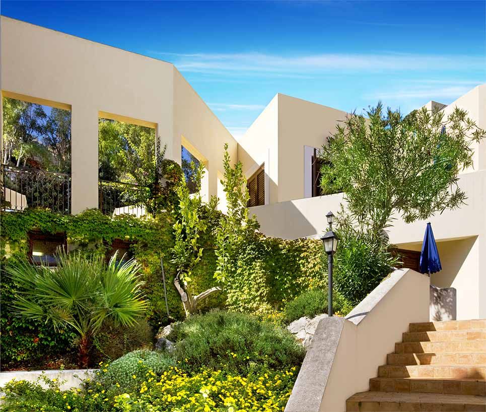 المظهر الخارجي