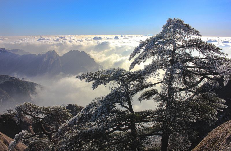 المظهر الخارجي