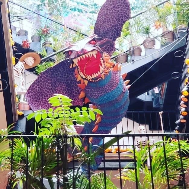 المظهر الخارجي