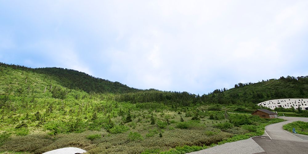 المظهر الخارجي