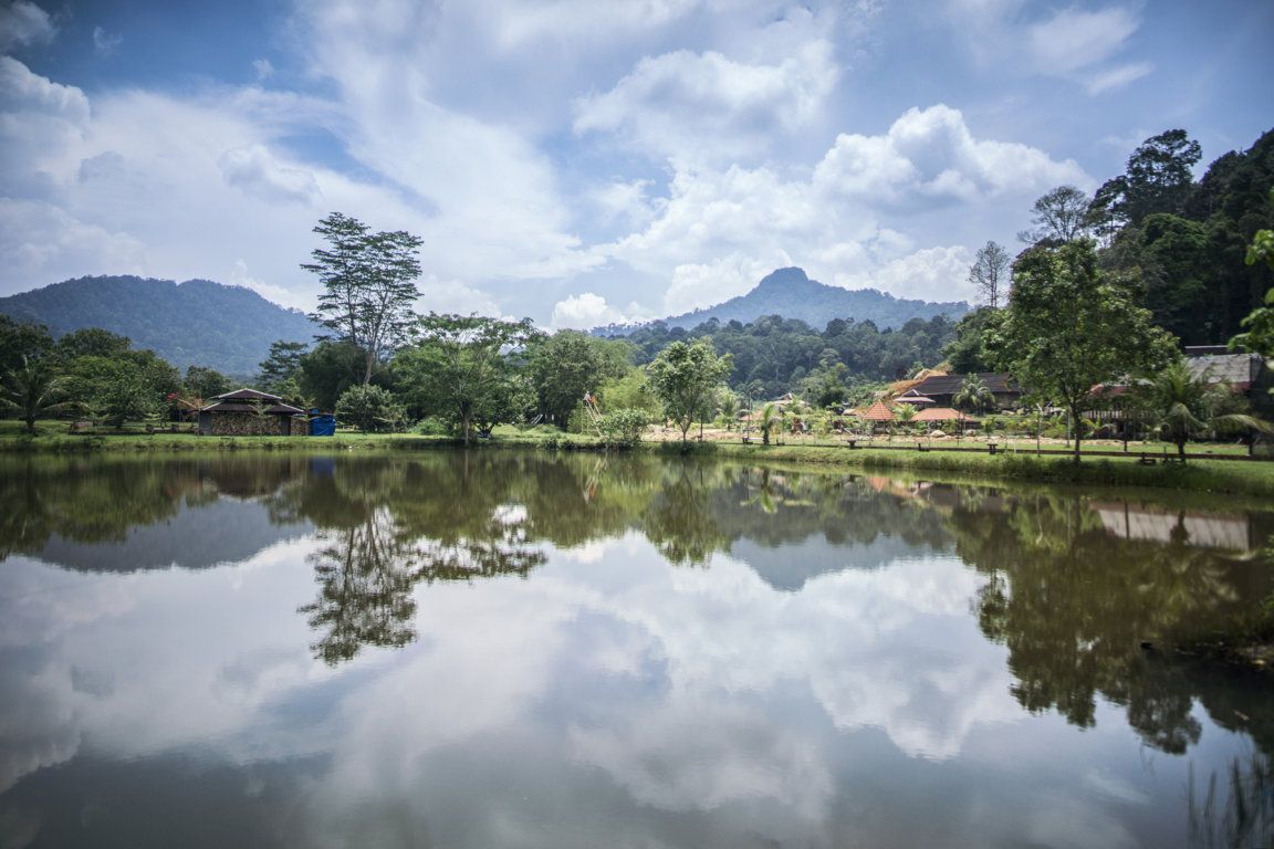المظهر الخارجي