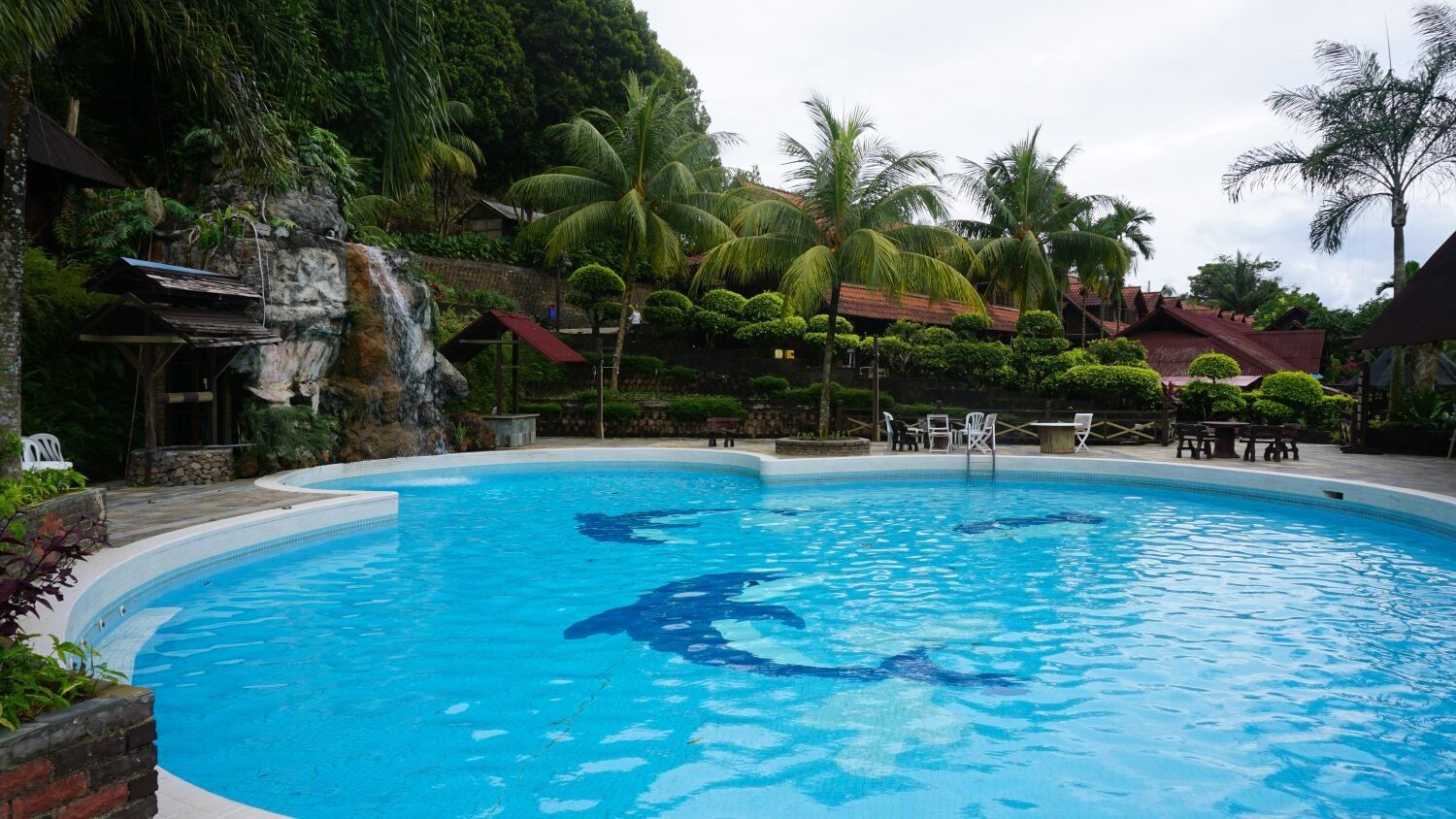 حوض السباحة