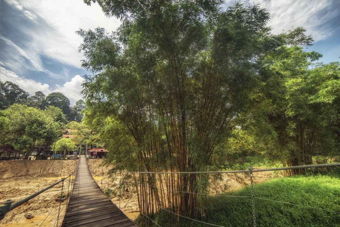 المظهر الخارجي