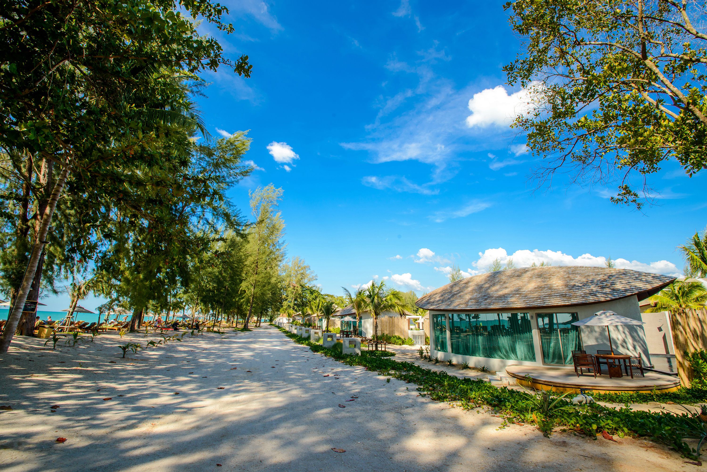 المظهر الخارجي