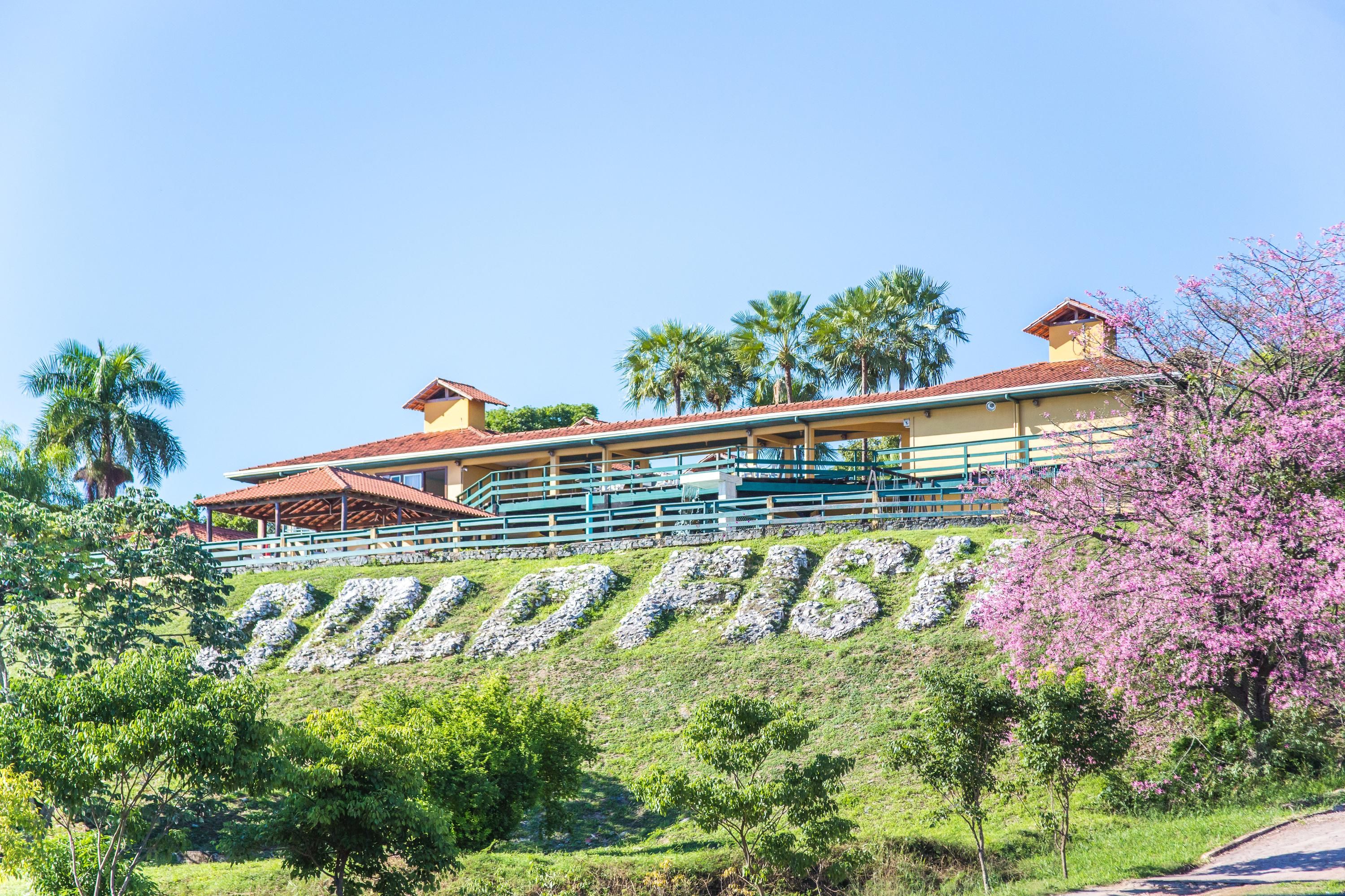 المظهر الخارجي