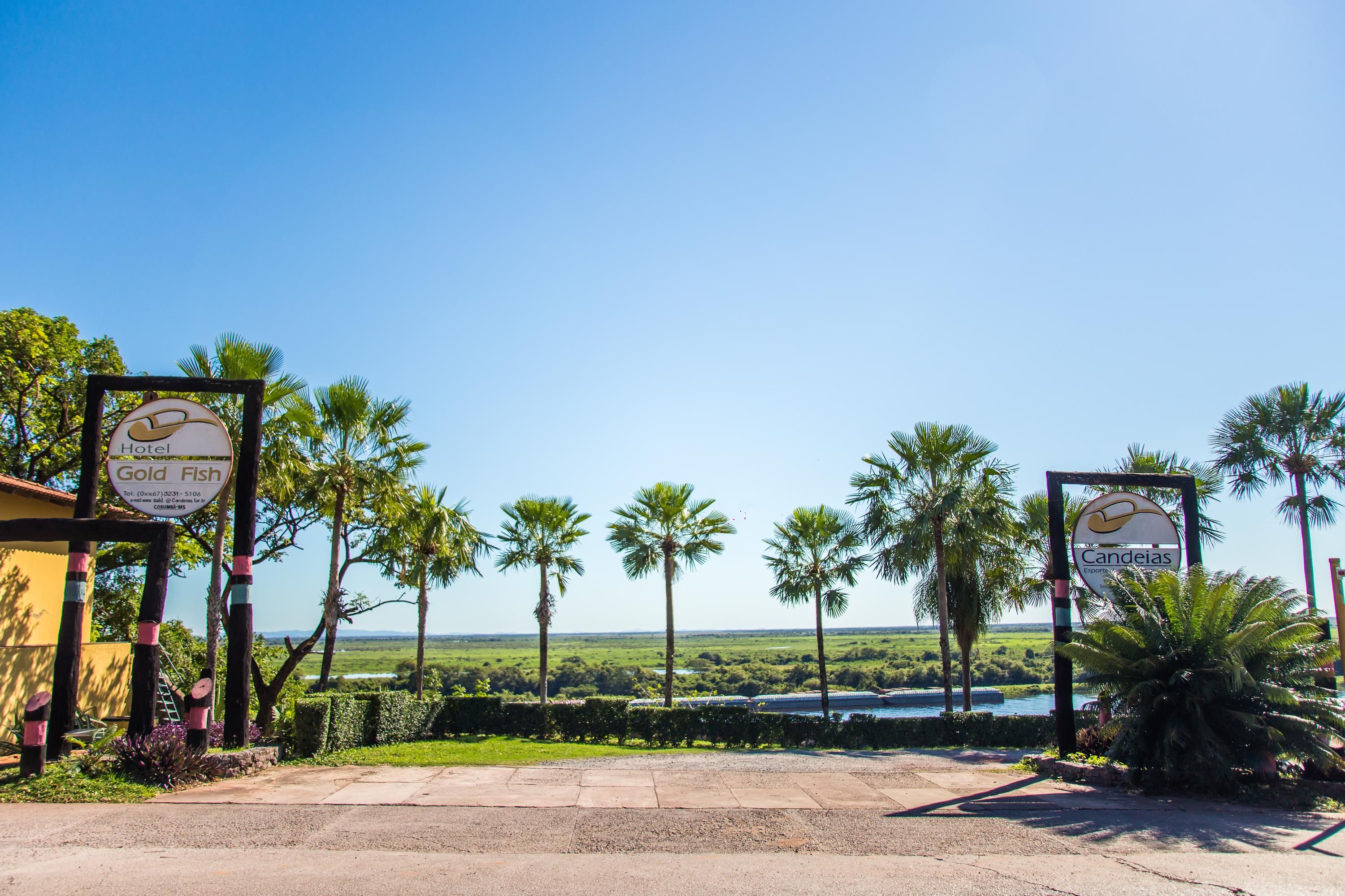 المظهر الخارجي