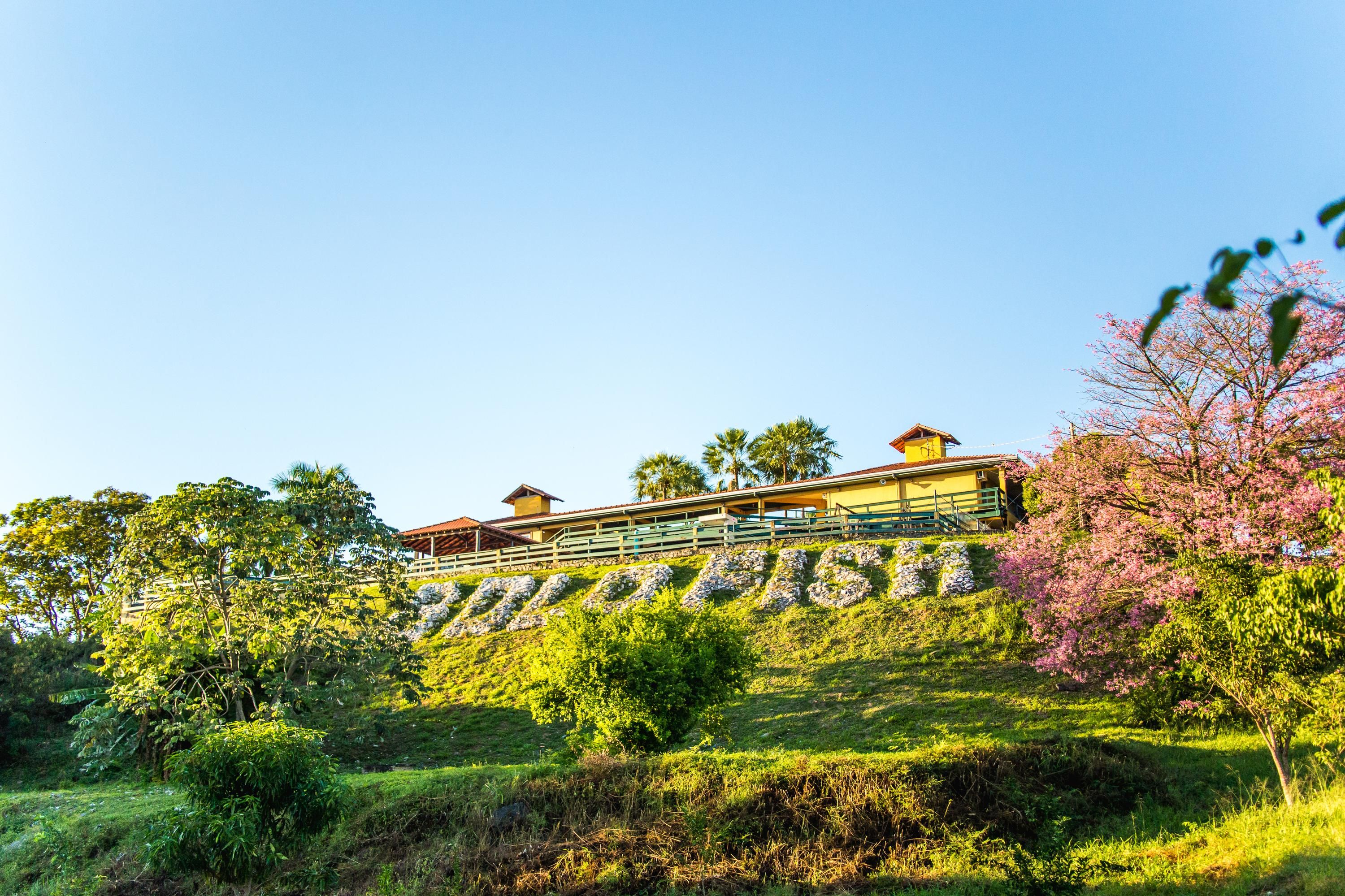 المظهر الخارجي