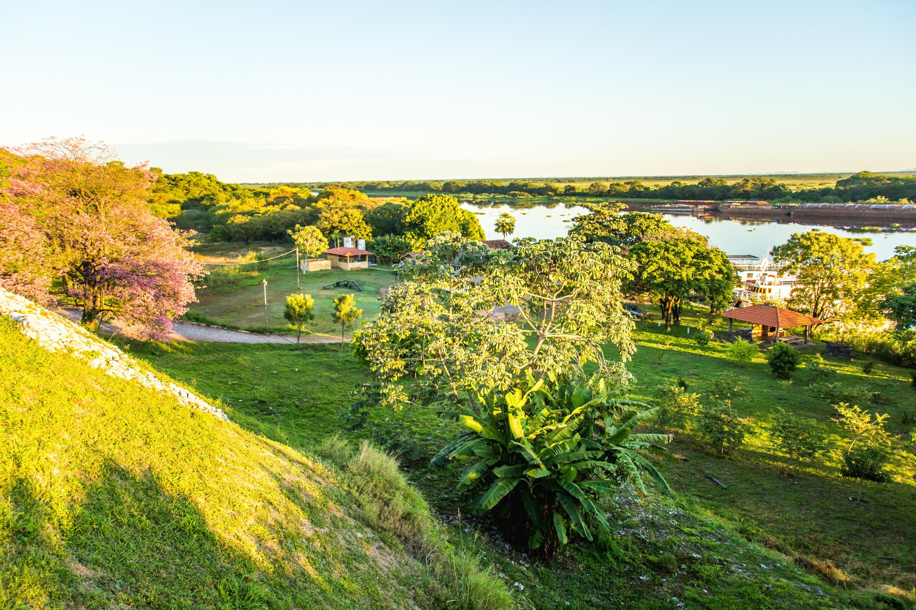 المظهر الخارجي