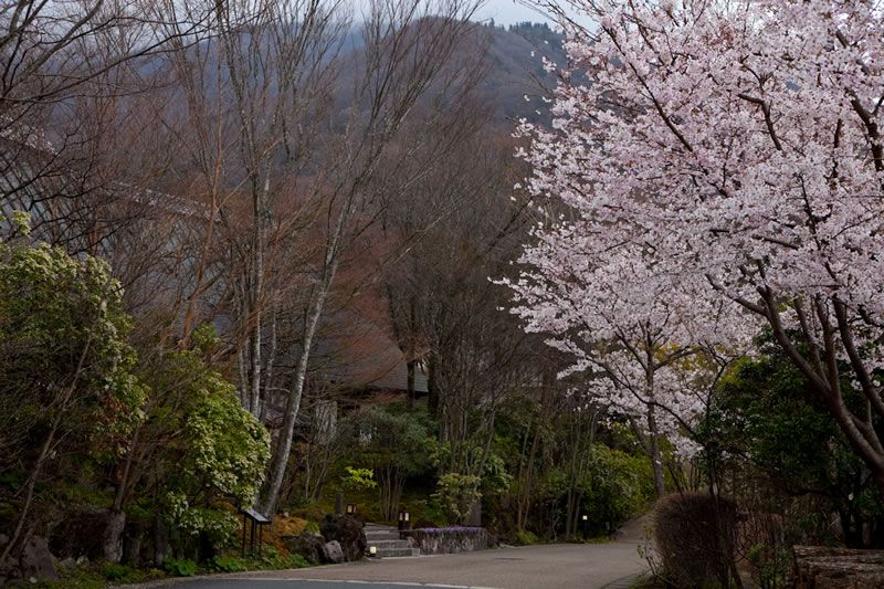 المظهر الخارجي
